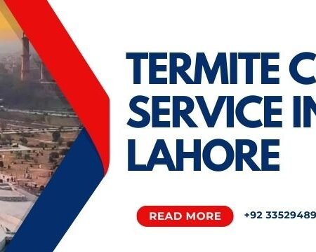 Termite Control Service in Lahore