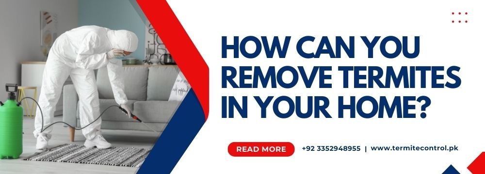 how can you remove termites in your home