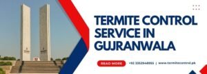 termite control service in gujranwala