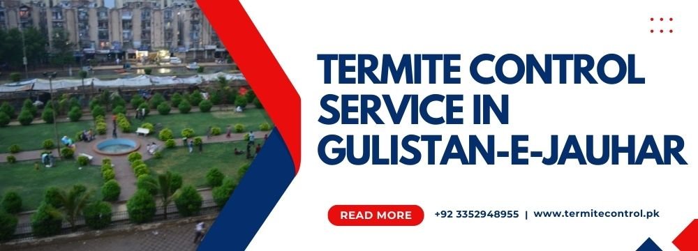 termite control service in gulistan-e-jauhar
