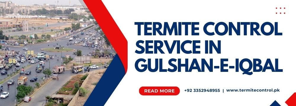 termite control service in gulshan-e-iqbal