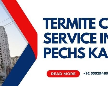 termite control service in pechs karachi