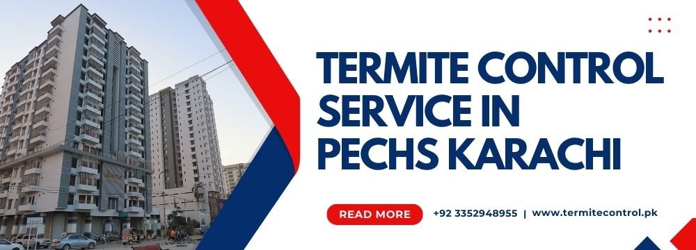 termite control service in pechs karachi