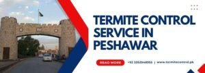 termite control service in peshawar