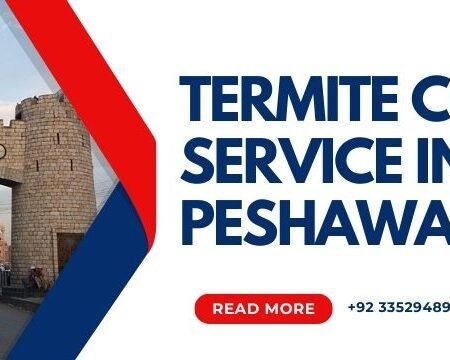termite control service in peshawar