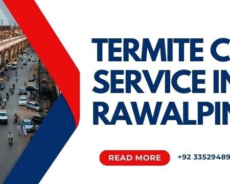 termite control service in rawalpindi
