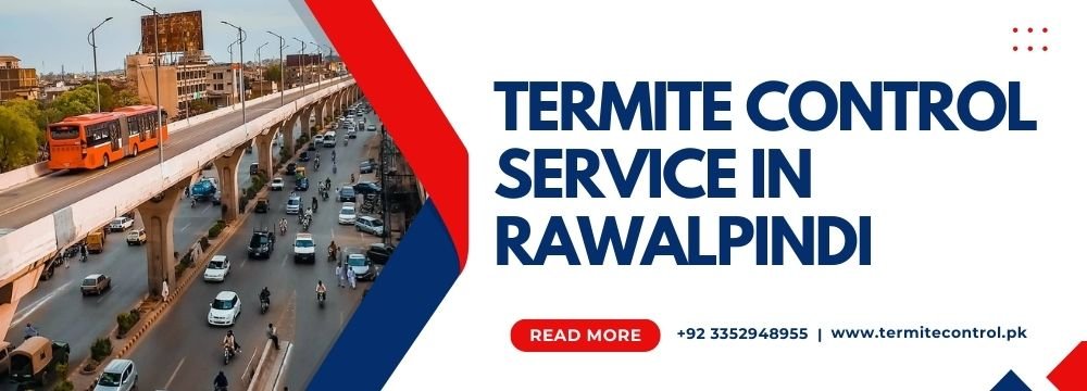 termite control service in rawalpindi