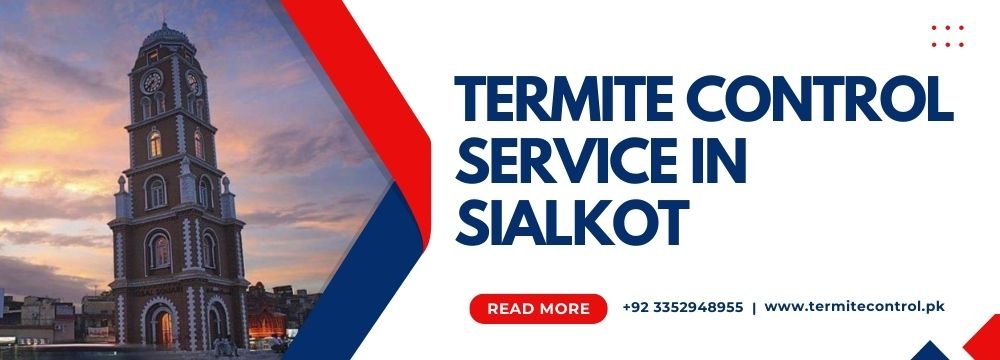 termite control service in sialkot